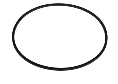 813/50012 Seal - Brake Piston