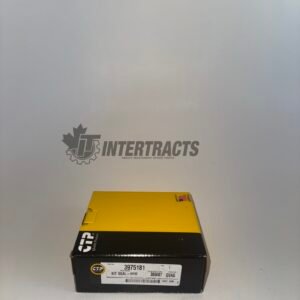 3975181 Hydraulic Cylinder SEAL KIT - STANDARD SIZE