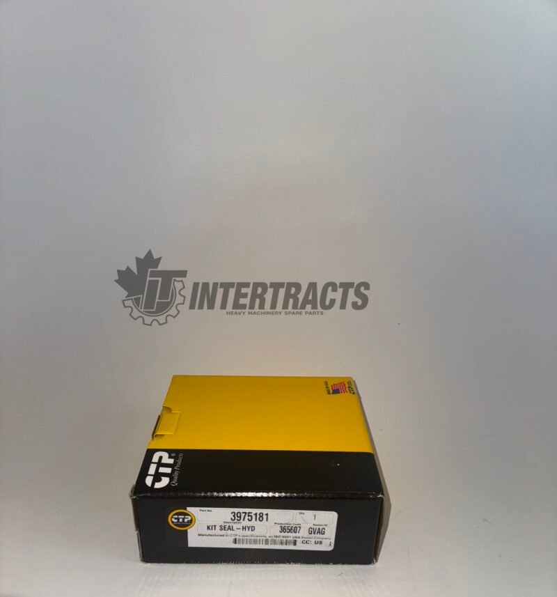 3975181 Hydraulic Cylinder SEAL KIT - STANDARD SIZE